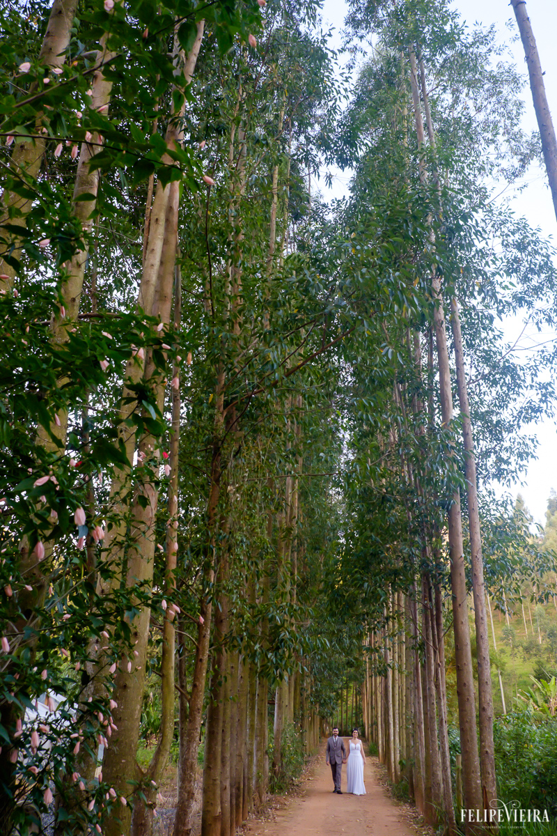noivos em meio a árvores foto feita por felipe vieira fotografo de casamentos em guarapari