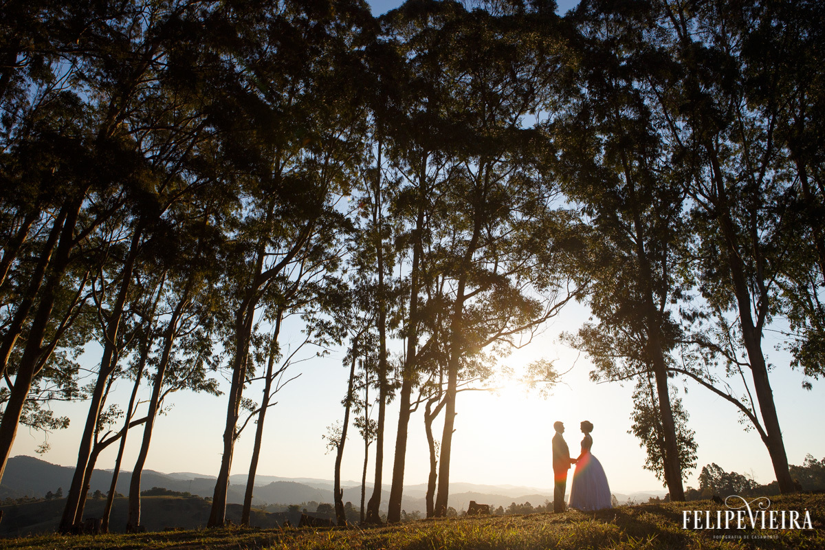 noivos de mãos dadas em meio as árvores em pedra azul foto felipe vieira fotografo de casamentos guarapari