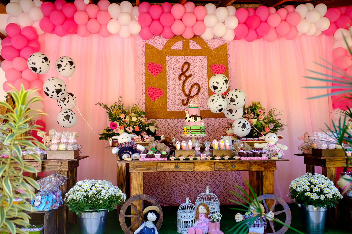 decoração festa infantil, festa infantil, fotografo festa infantil, decoração festa 1 ano, felipe vieira fotografo