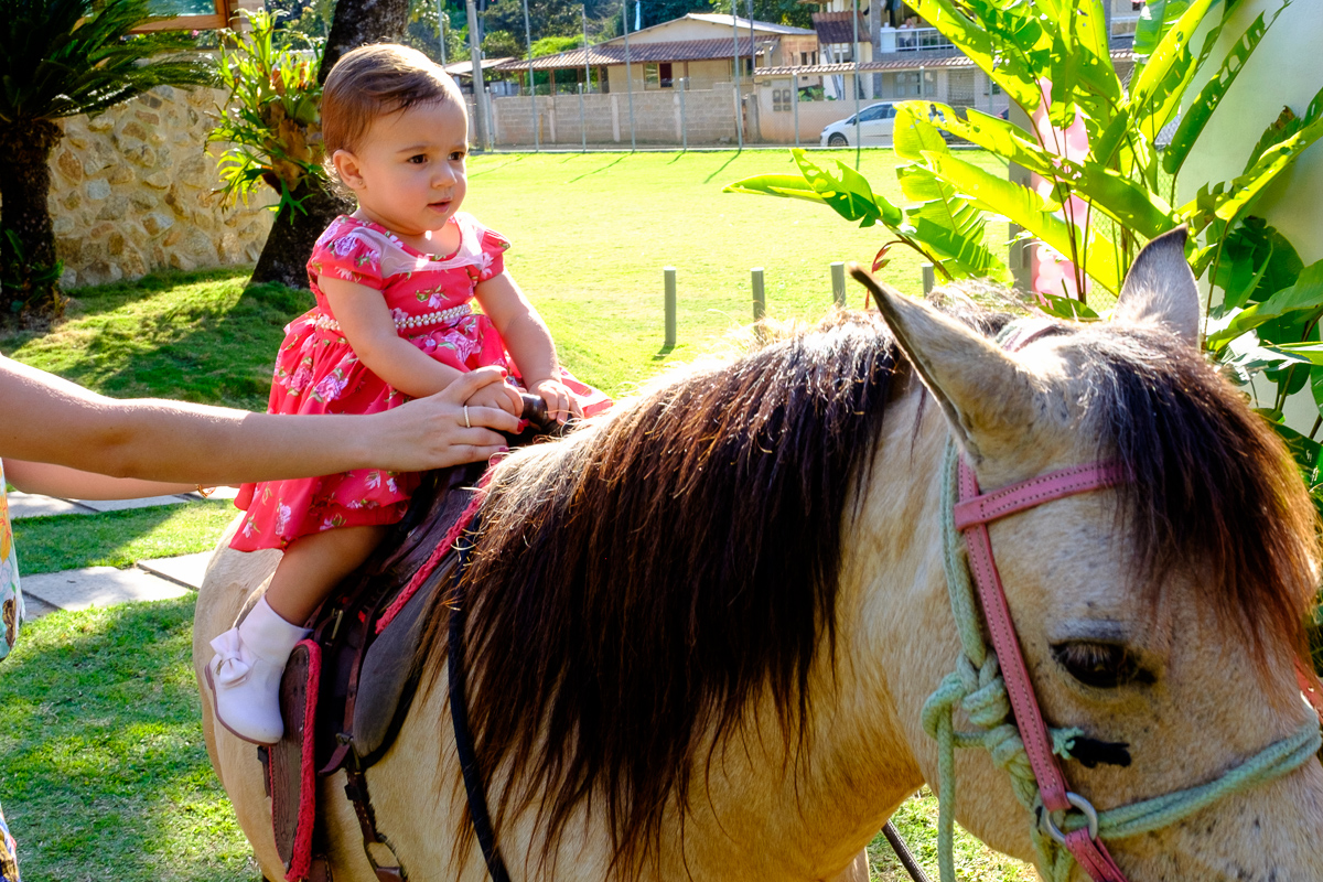 decoração festa infantil, festa infantil, fotografo festa infantil, decoração festa 1 ano, felipe vieira fotografo