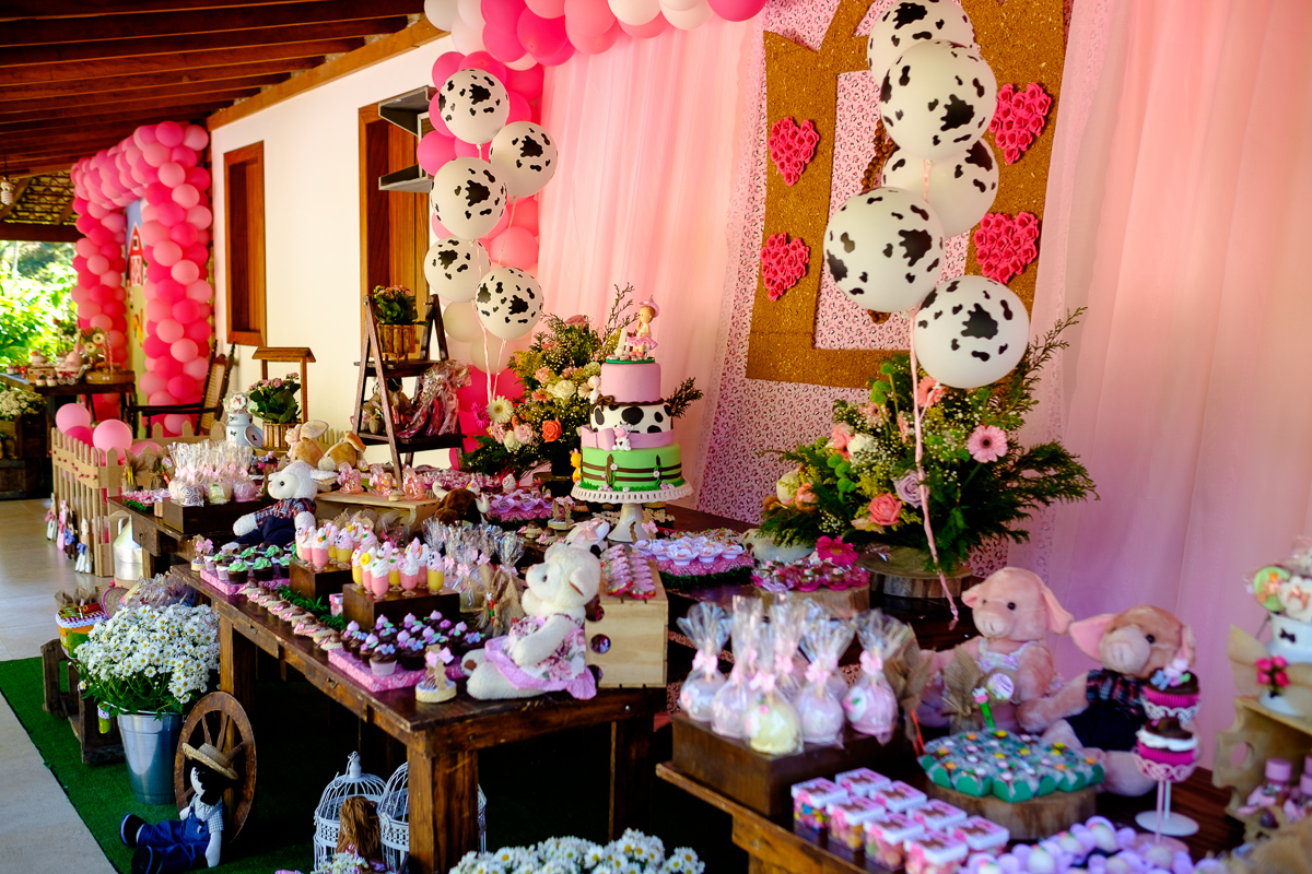 decoração festa infantil, festa infantil, fotografo festa infantil, decoração festa 1 ano, felipe vieira fotografo