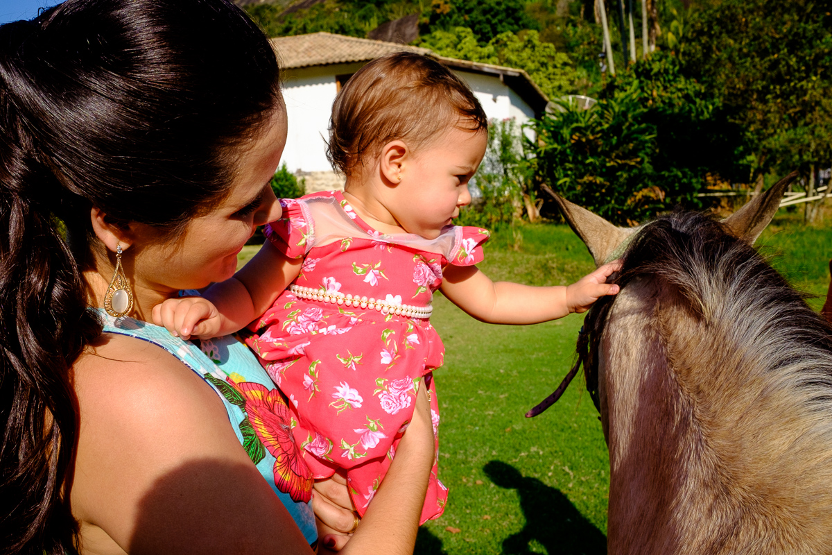 decoração festa infantil, festa infantil, fotografo festa infantil, decoração festa 1 ano, felipe vieira fotografo