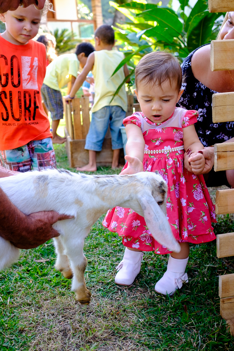 decoração festa infantil, festa infantil, fotografo festa infantil, decoração festa 1 ano, felipe vieira fotografo