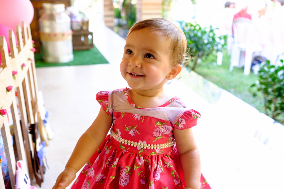 decoração festa infantil, festa infantil, fotografo festa infantil, decoração festa 1 ano, felipe vieira fotografo