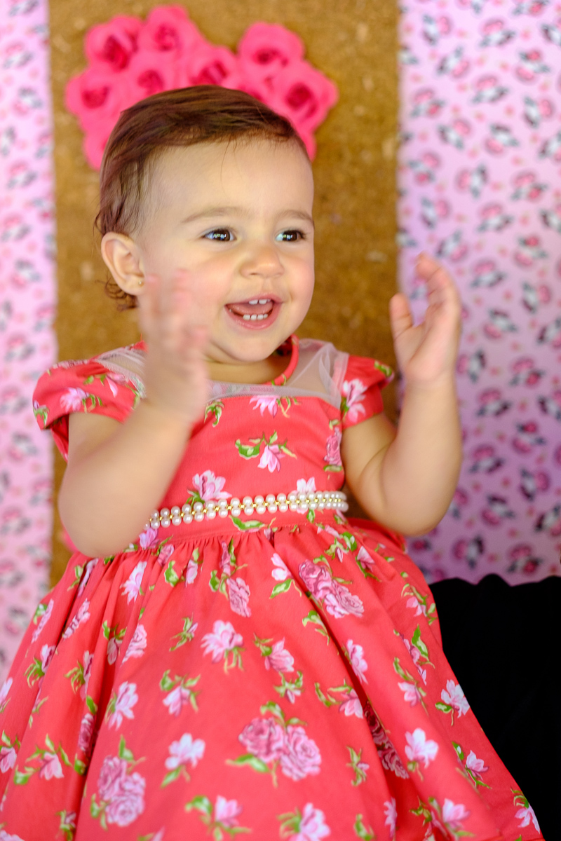 decoração festa infantil, festa infantil, fotografo festa infantil, decoração festa 1 ano, felipe vieira fotografo