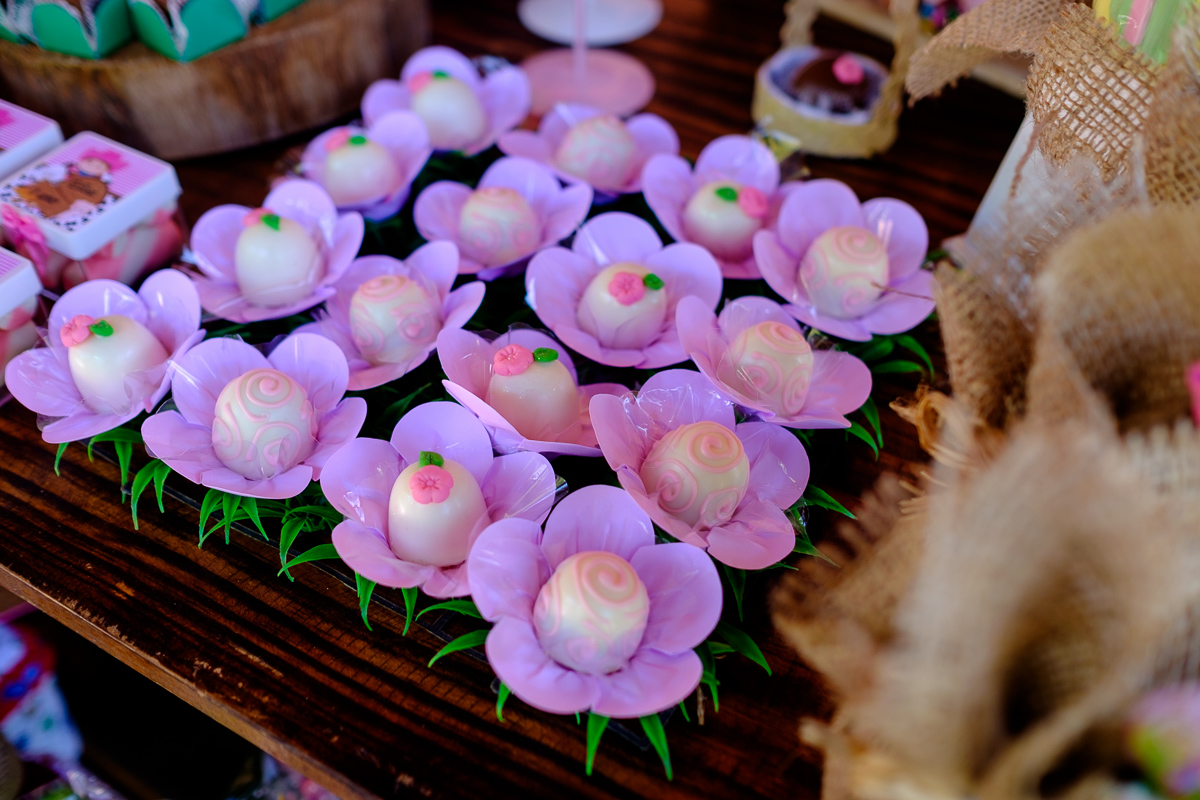 decoração festa infantil, festa infantil, fotografo festa infantil, decoração festa 1 ano, felipe vieira fotografo