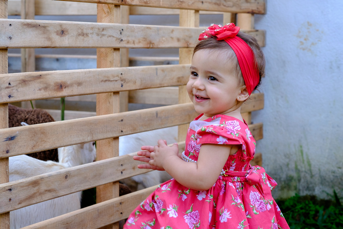 decoração festa infantil, festa infantil, fotografo festa infantil, decoração festa 1 ano, felipe vieira fotografo