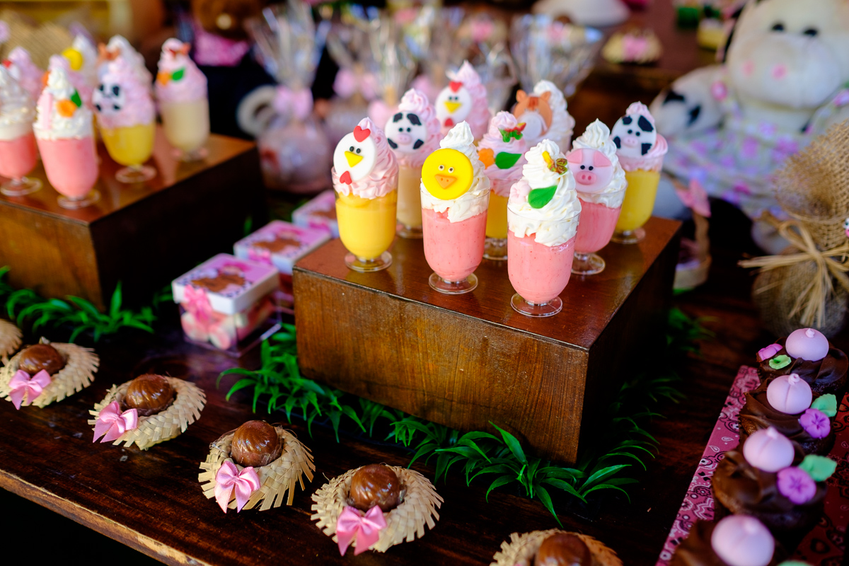 decoração festa infantil, festa infantil, fotografo festa infantil, decoração festa 1 ano, felipe vieira fotografo