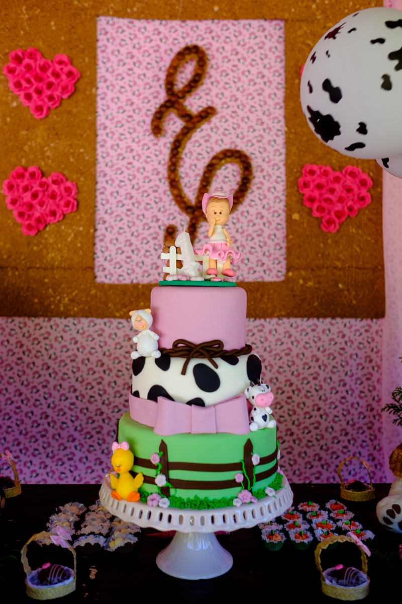 decoração festa infantil, festa infantil, fotografo festa infantil, decoração festa 1 ano, felipe vieira fotografo