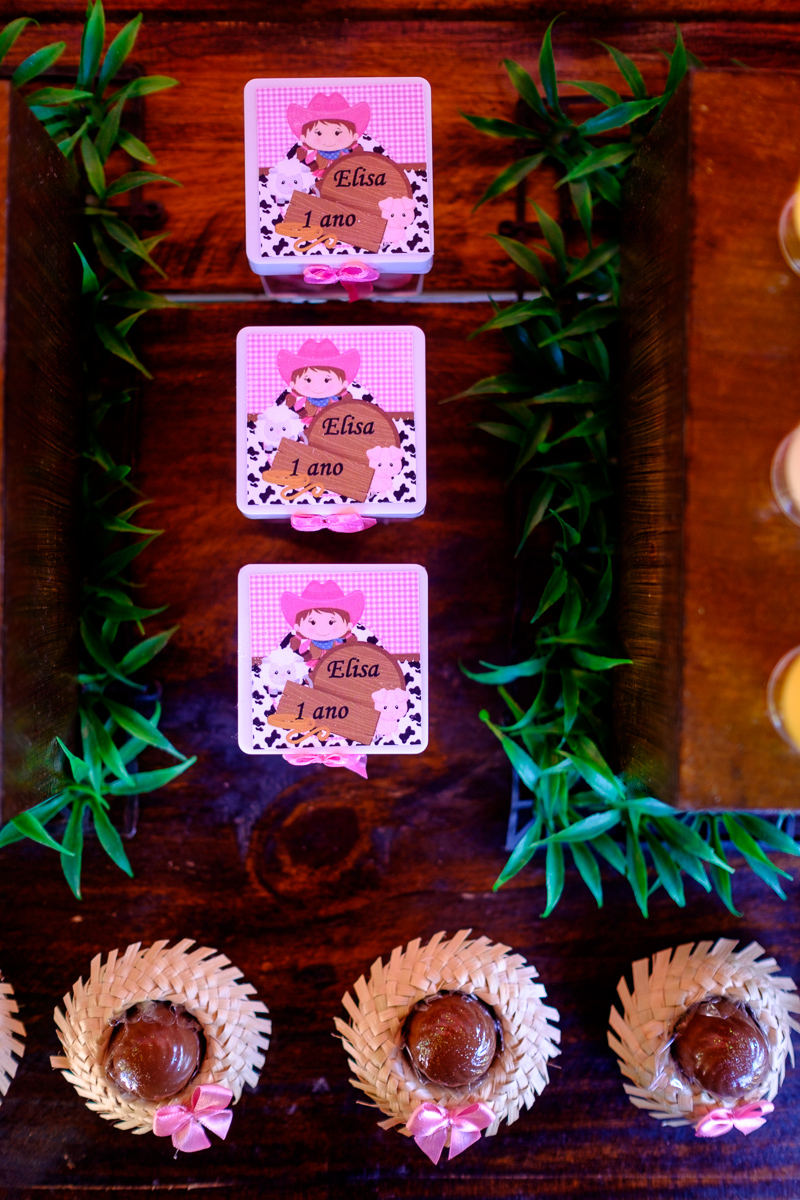 decoração festa infantil, festa infantil, fotografo festa infantil, decoração festa 1 ano, felipe vieira fotografo