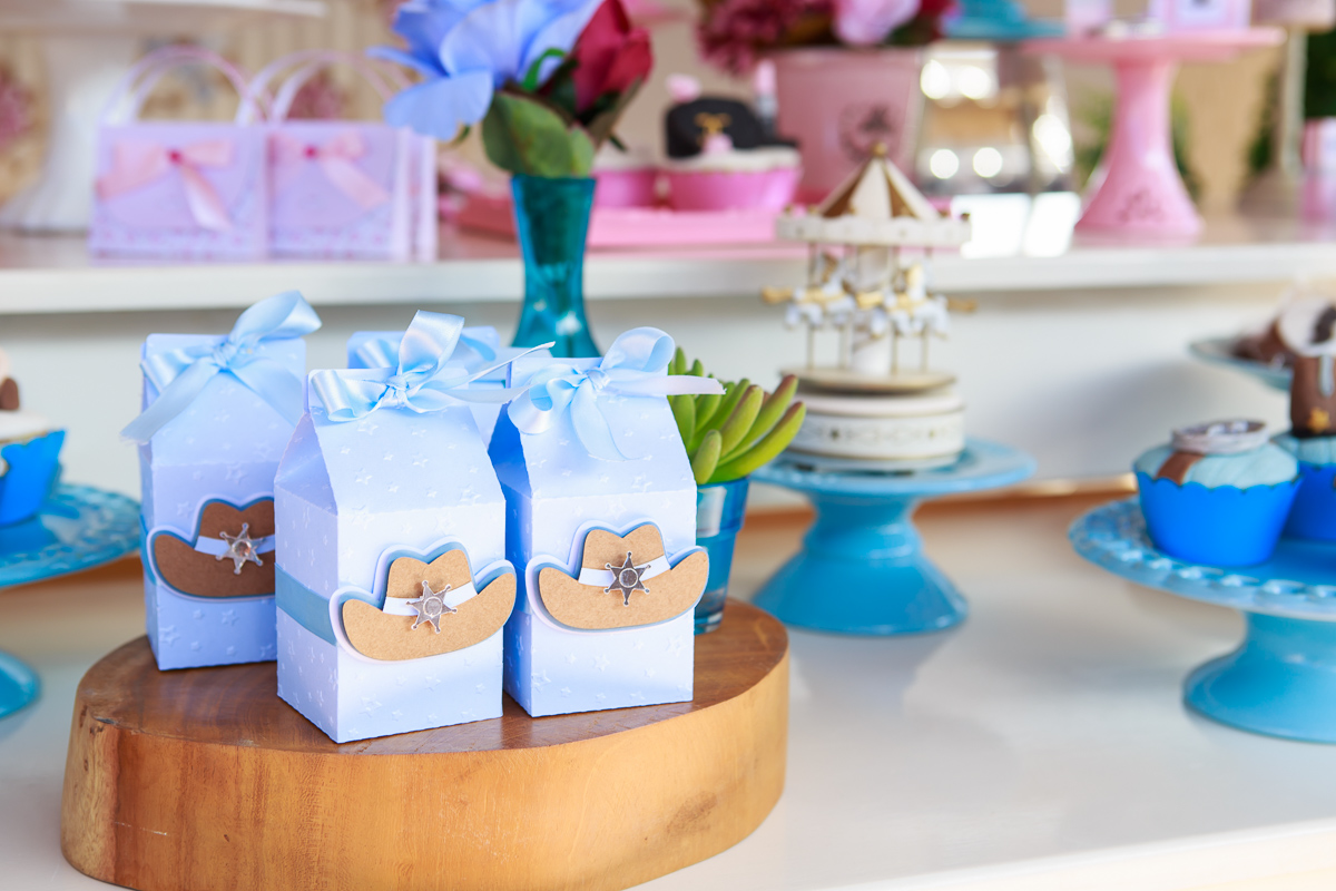 decoração chá revelação Lu e Anderson foto Jany Tesch Felipe Vieira Fotografia Guarapari