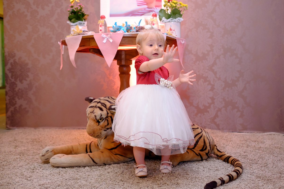decoração festa infantil tema circo aniversário de 01 ano em Guarapari Guará Centro de Eventos Felipe Vieira Fotografia