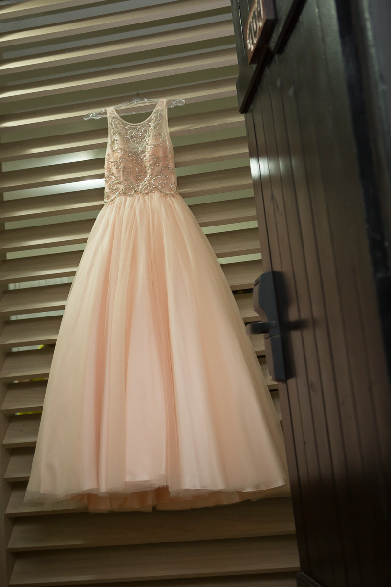 decoração 15 anos festa de 15 anos Felipe Vieira Fotógrafo debutante Guarapari 15 anos Guarapari 15 anos ballet debutante bailarina