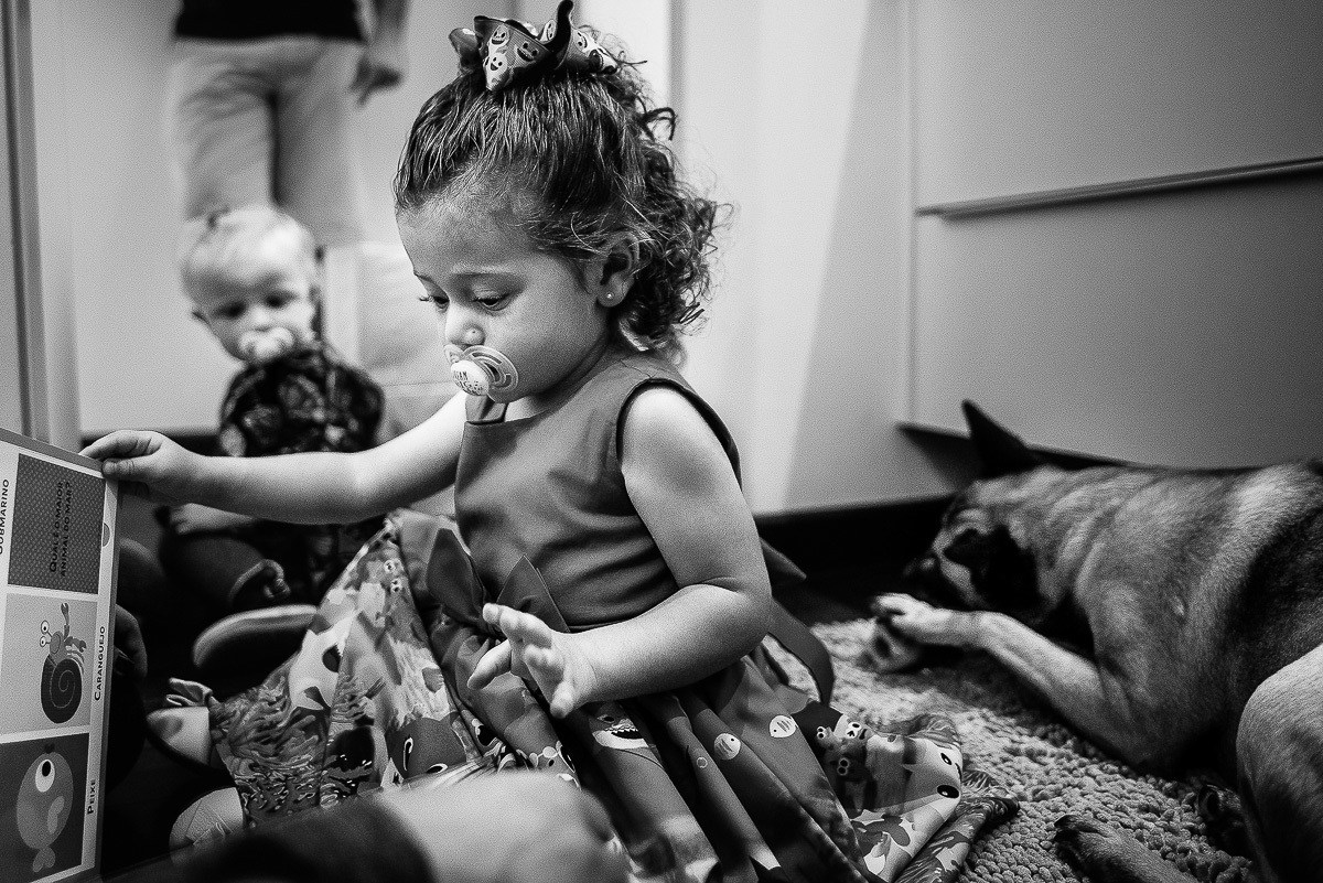 festinha de aniversario em casa, festa infantil em casa, aniversario infantil, decoração de festa em csa, decoração de festa infantil em casa, familia e pet, crianças e pet, festa em casa, aniversario no quintal, festinha no quintal