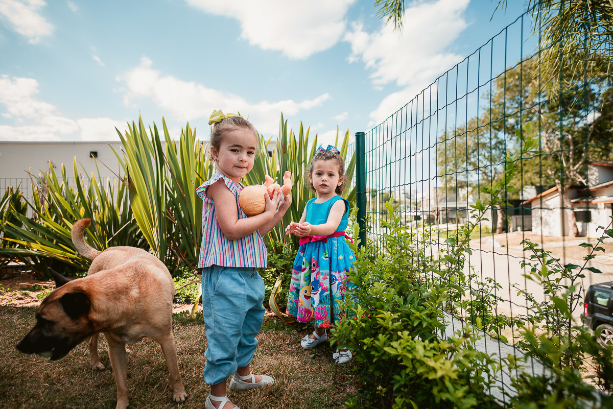 festinha de aniversario em casa, festa infantil em casa, aniversario infantil, decoração de festa em csa, decoração de festa infantil em casa, buffet a domicilio, crianças e pets, festa em casa, aniversario no quintal, festinha no quintal