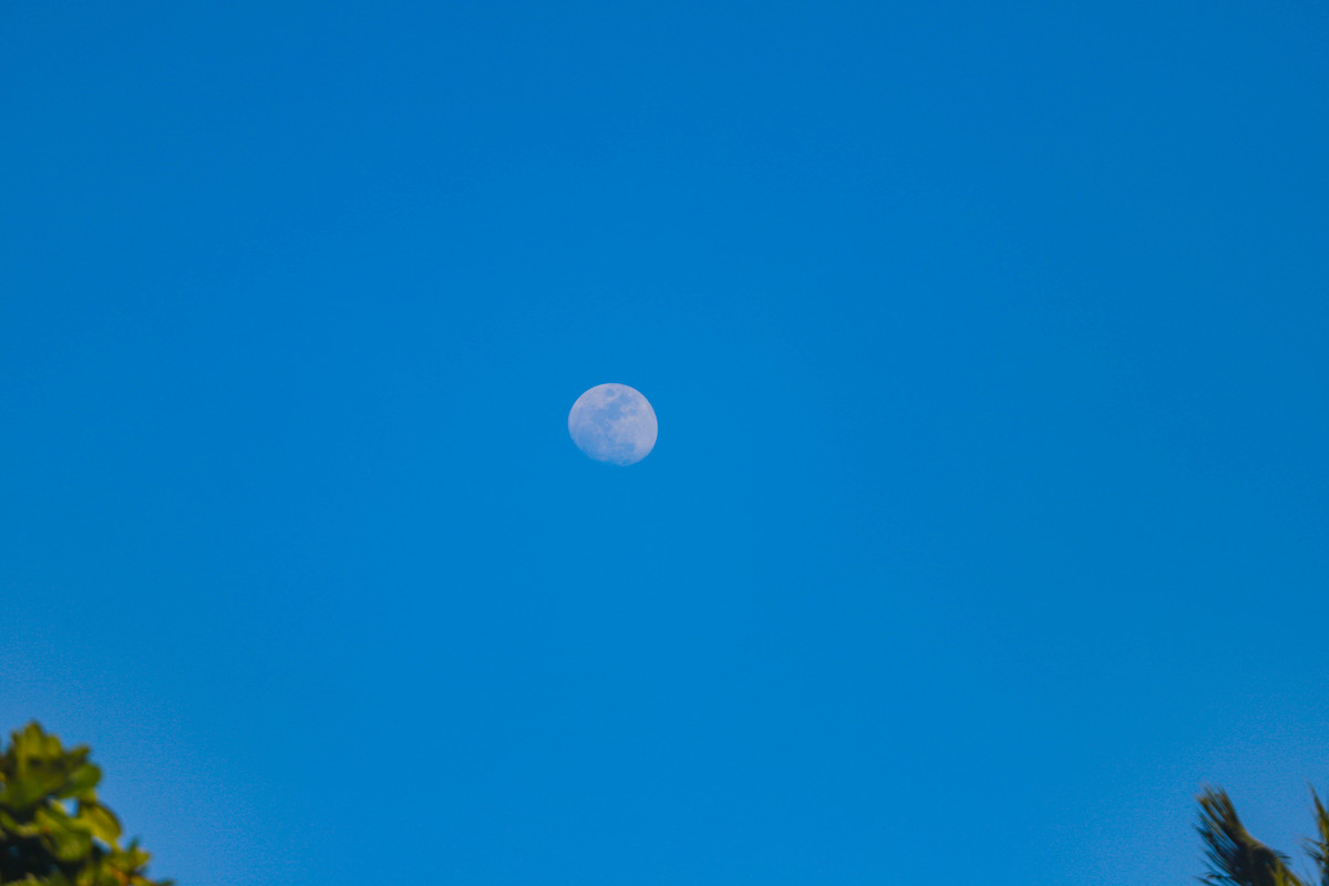 SalvadorBA, Bahia, Fotografia Profissional, Fotografia Salvador, Salvador Fotografia, Fotografia De Viagem, Fotografia De Eventos, Fotografia Urbana, Fotografia De Retrato, Fotografia Creativa, praia do forteba, praia do forte bahia, fotografo salvador, f