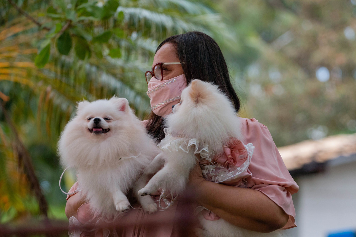 Fotografia de casamento em Brasília, Fotógrafo de casamento em Brasília, Fotografia profissional em Brasília, casamento em Brasília, Serviço de fotografia em Brasília, Ensaio fotográfico em Brasília, Fotografia de eventos em Brasília, Melhores fotógrafos 