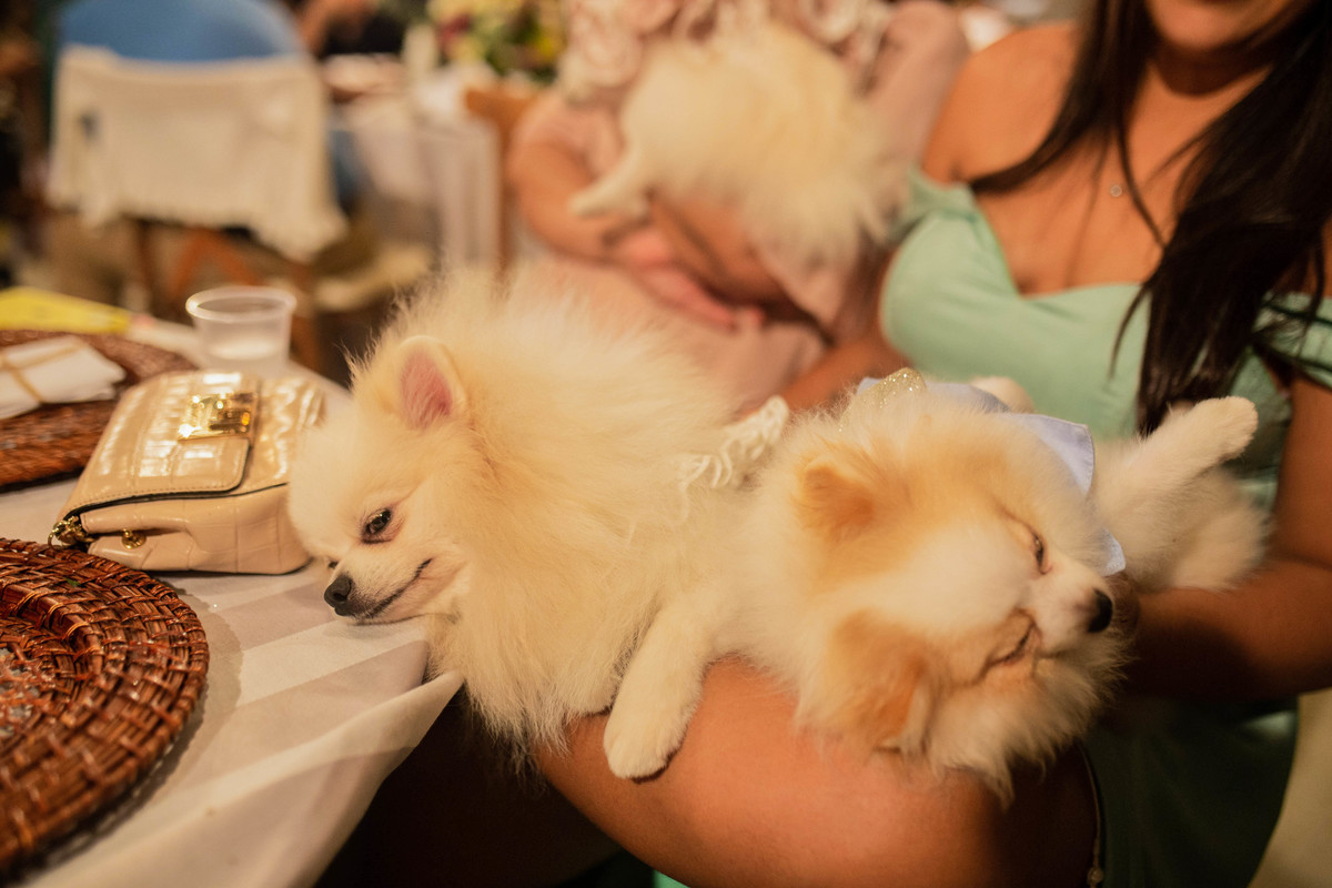 Fotografia de casamento em Brasília, Fotógrafo de casamento em Brasília, Fotografia profissional em Brasília, casamento em Brasília, Serviço de fotografia em Brasília, Ensaio fotográfico em Brasília, Fotografia de eventos em Brasília, Melhores fotógrafos 