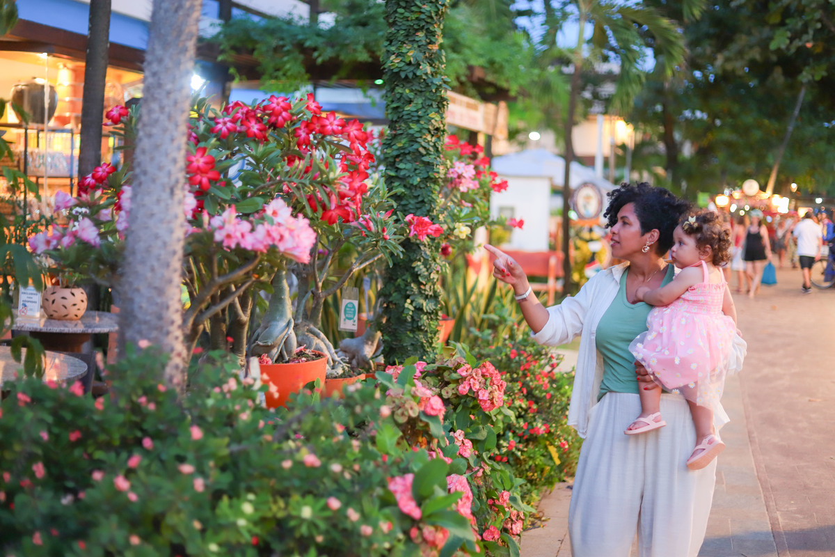 Aproveite sua estadia em Praia do Forte para fazer fotos profissionais com sua família, amigos ou amor. Um presente que o tempo não apaga. IBEROSTAR PRAIA DO FORTE BAHIA, FOTÓGRAFO, CASAMENTO, WEDDING DAY