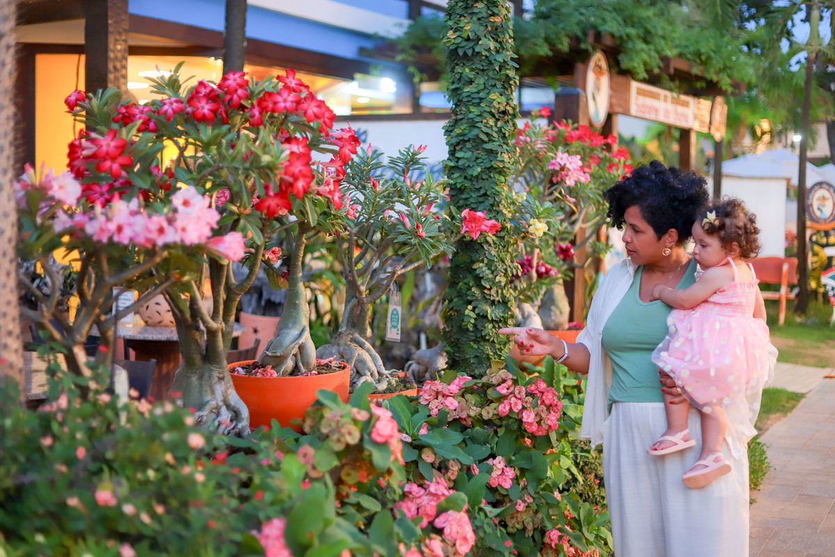 Aproveite sua estadia em Praia do Forte para fazer fotos profissionais com sua família, amigos ou amor. Um presente que o tempo não apaga. IBEROSTAR PRAIA DO FORTE BAHIA, FOTÓGRAFO, CASAMENTO, WEDDING DAY