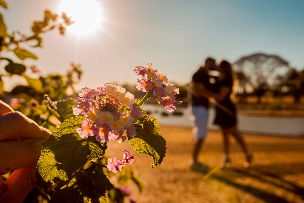 Pré-Casamento em Brasília-DF - Casamento em Brasília - Casamento na Capital Federal