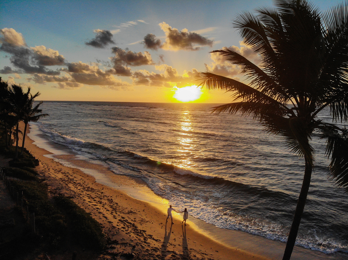 Casamento em Praia do Forte Bahia
Fotos de casais
Fotos de casais na praia
Fotos românticas
Casamento 2021 na praia
