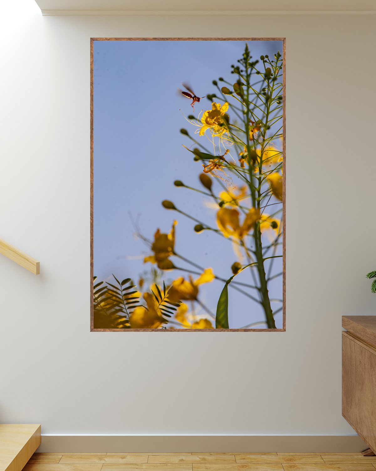 Fotografia de paisagem
Fotografia de praia
Decoração com fotos
Venda de quadros de paisagem
Arte para decorar
Fotografia emoldurada
Presentes personalizados
Decoração de ambientes
Design de interiores
Projeto de decoração
Consultoria de interiores
Foto