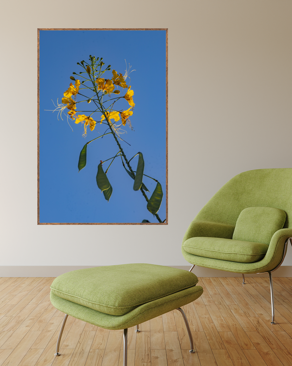 Fotografia de paisagem
Fotografia de praia
Decoração com fotos
Venda de quadros de paisagem
Arte para decorar
Fotografia emoldurada
Presentes personalizados
Decoração de ambientes
Design de interiores
Projeto de decoração
Consultoria de interiores
Foto