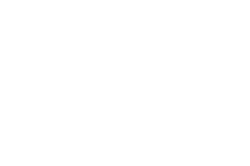 Logotipo de Waldyr Lantyer