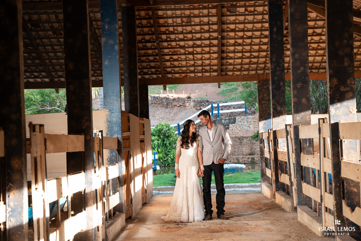 fazenda com criação de mulas em florestal