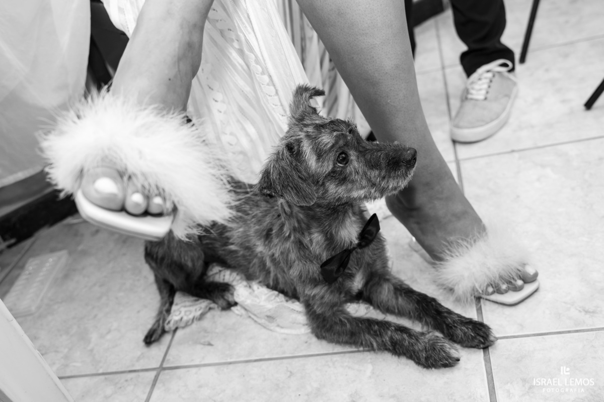 Fotografia de casamento na cidade de biberão preto em Sao Paulo fotografo de SPFotografia de casamento na cidade de ribeirão preto em Sao Paulo fotografo de SP