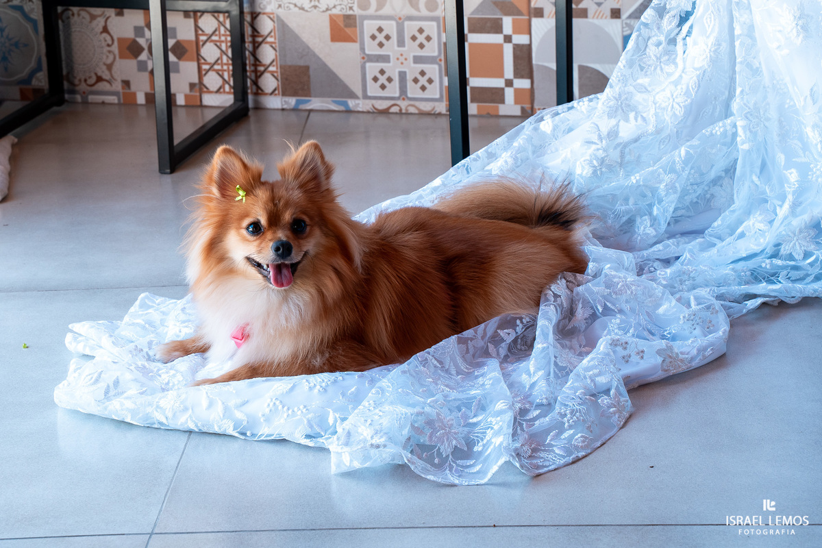 reccepcao de casamento em para de minas fotografo Israel Lemos 