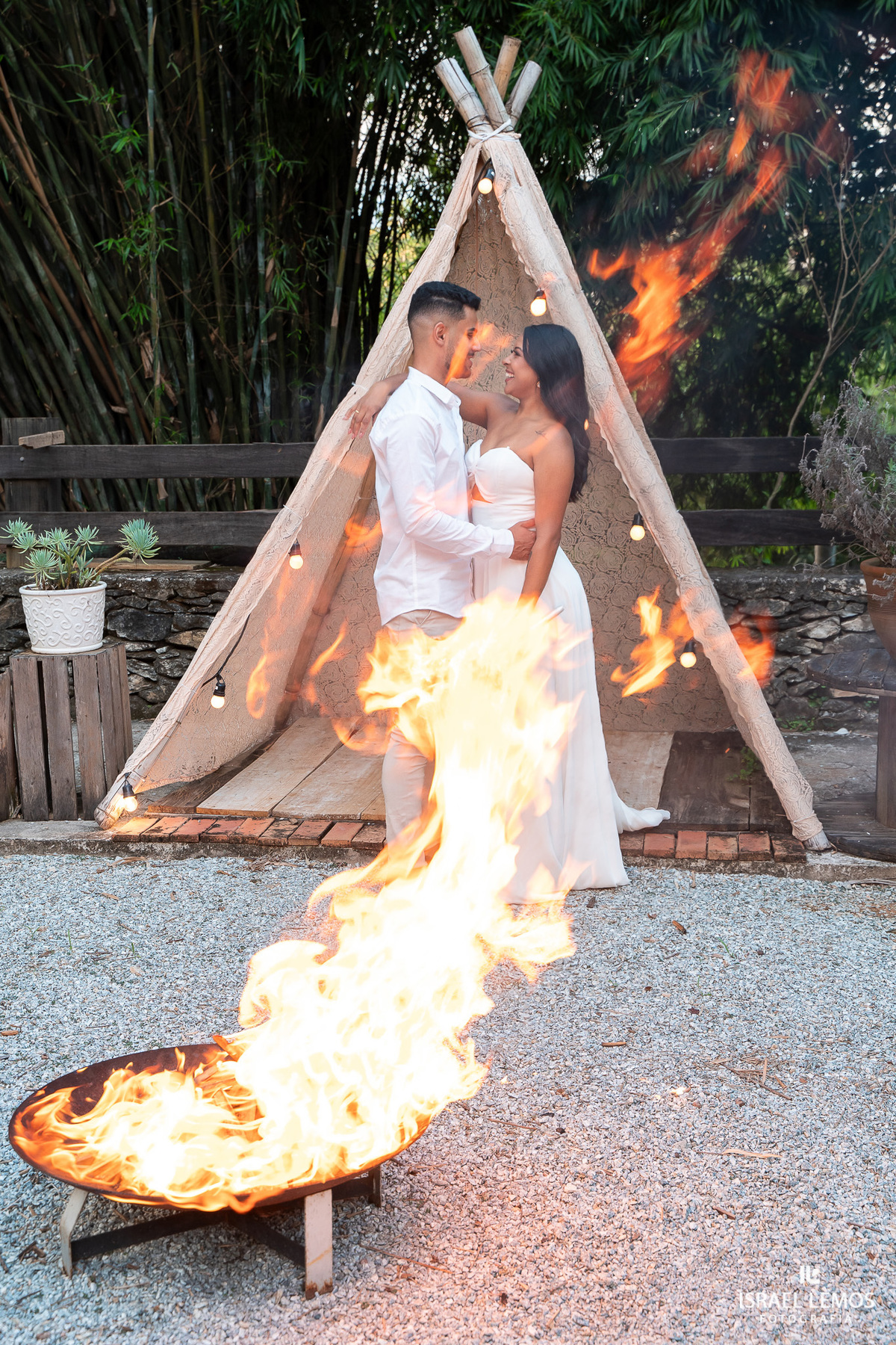 Fotografia em Betim sparticus 