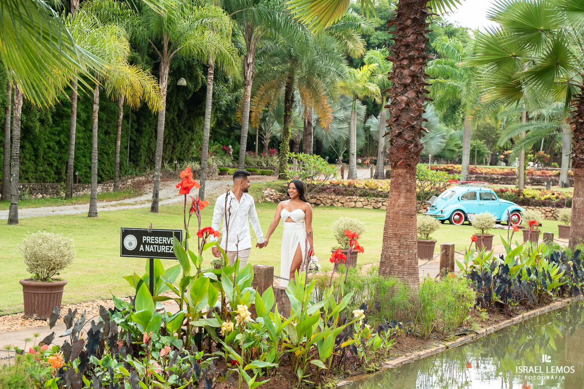 Fotografia em Betim sparticus 