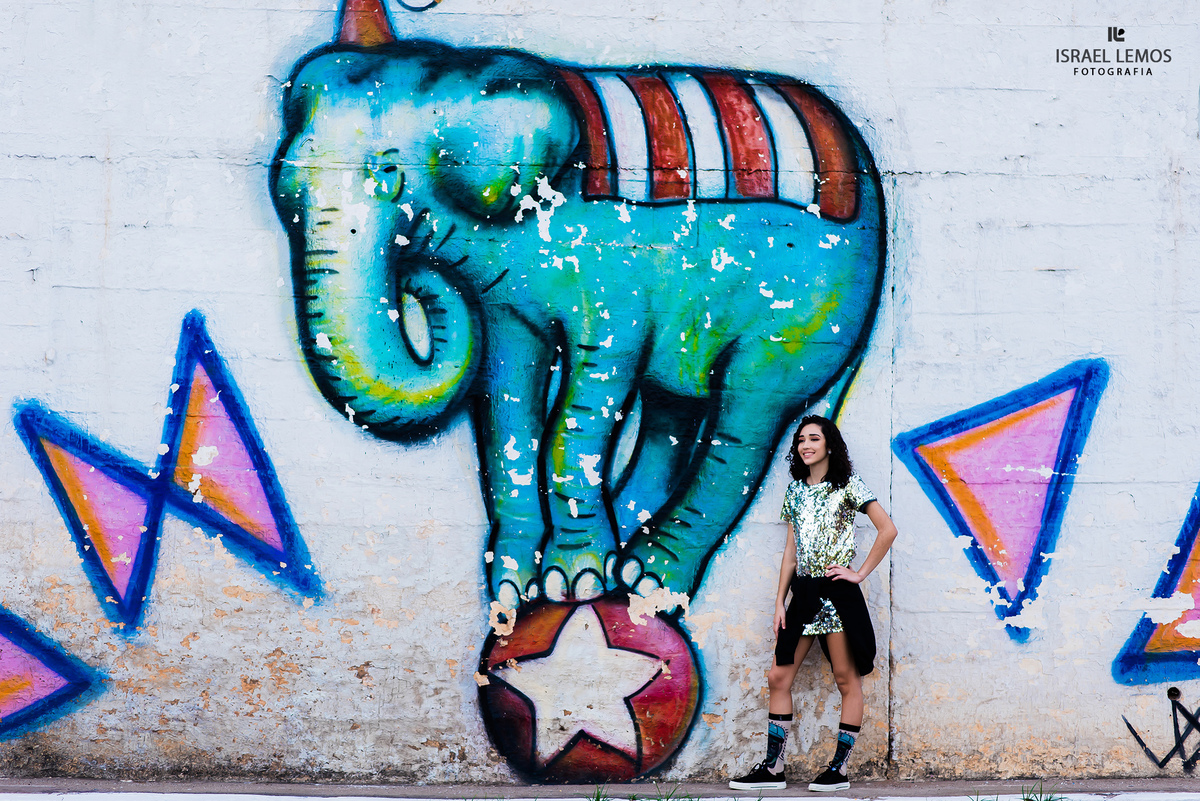 elefante com debutante