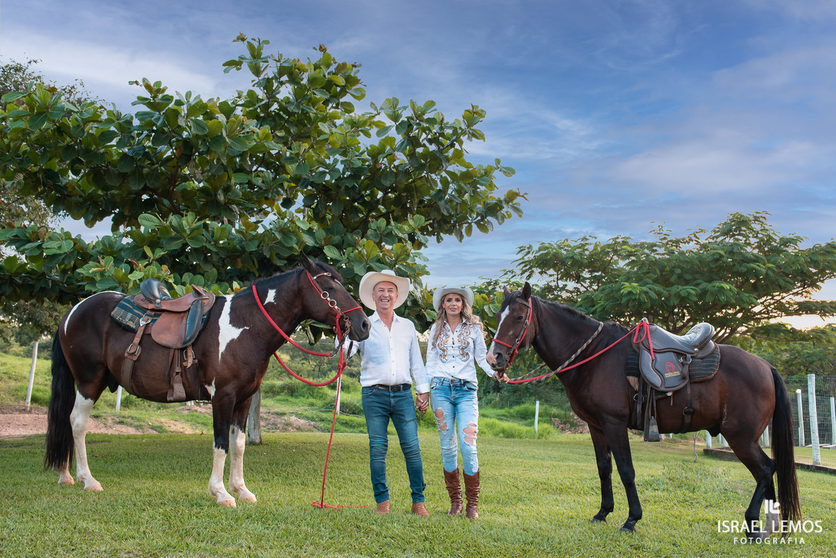 ensaio com cavalos como fazer