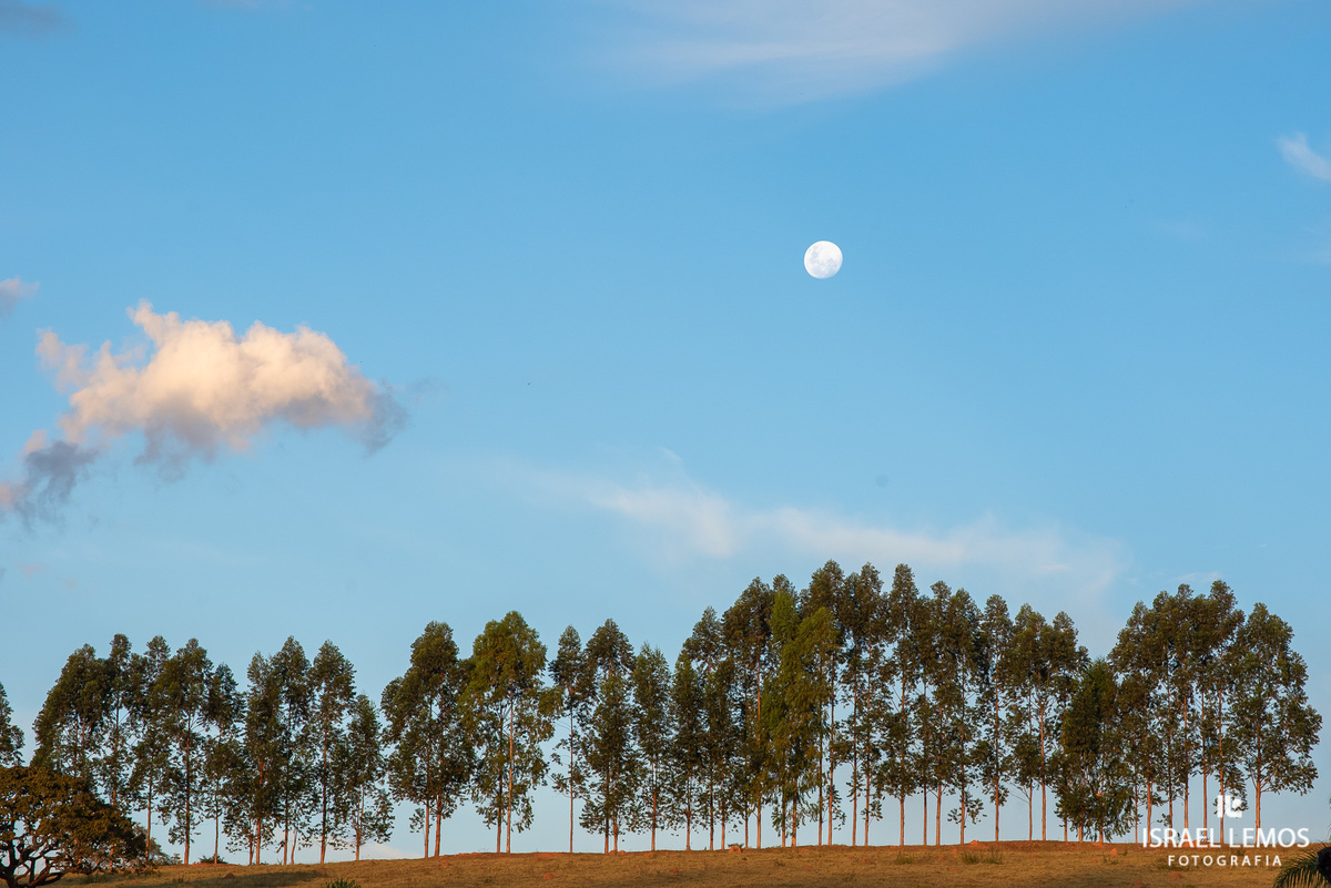 eplipice Minas Gerais 