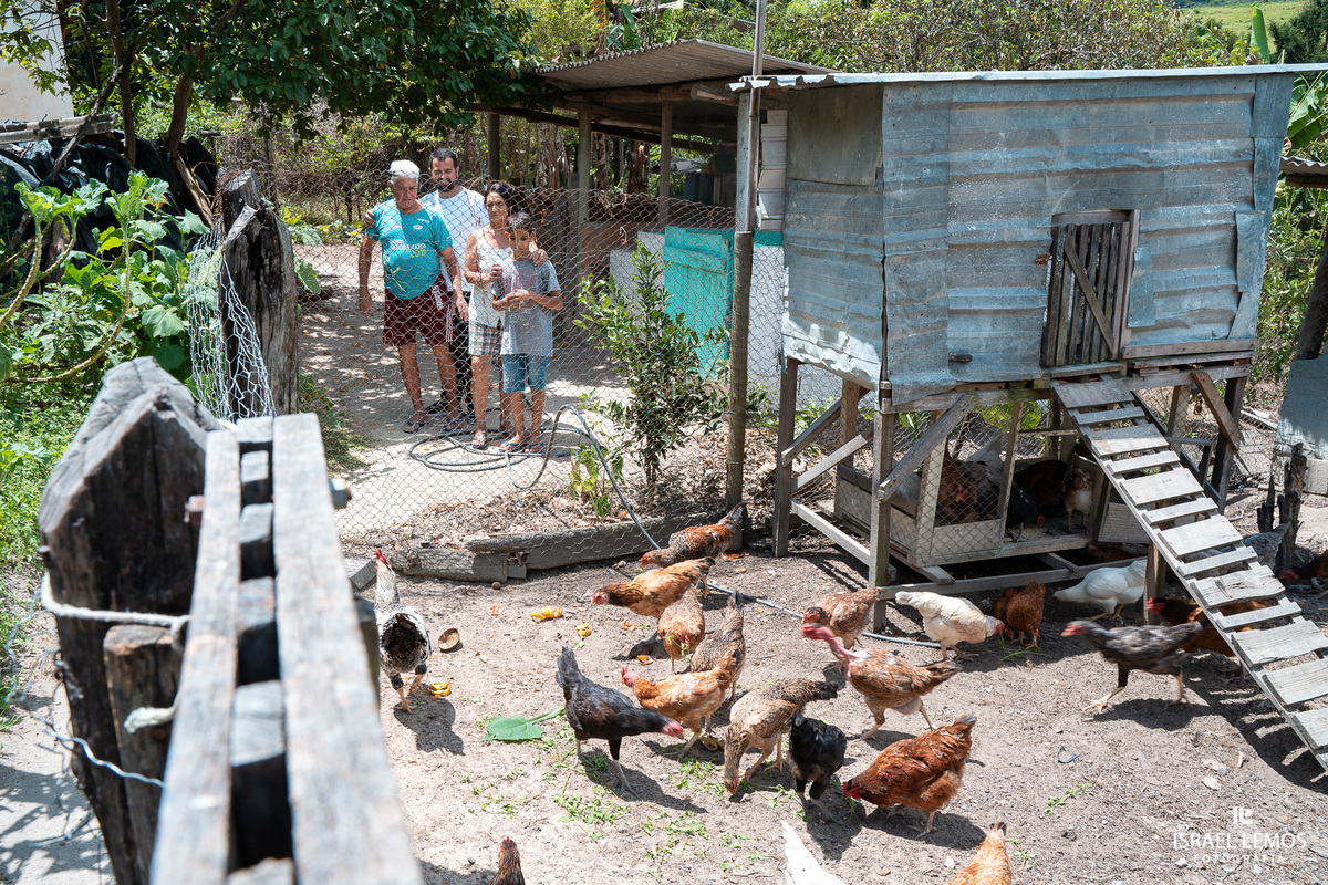 galinhas no casamento