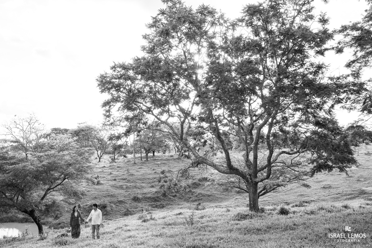 Fotografia na cidade de Perdigao e Araújos 