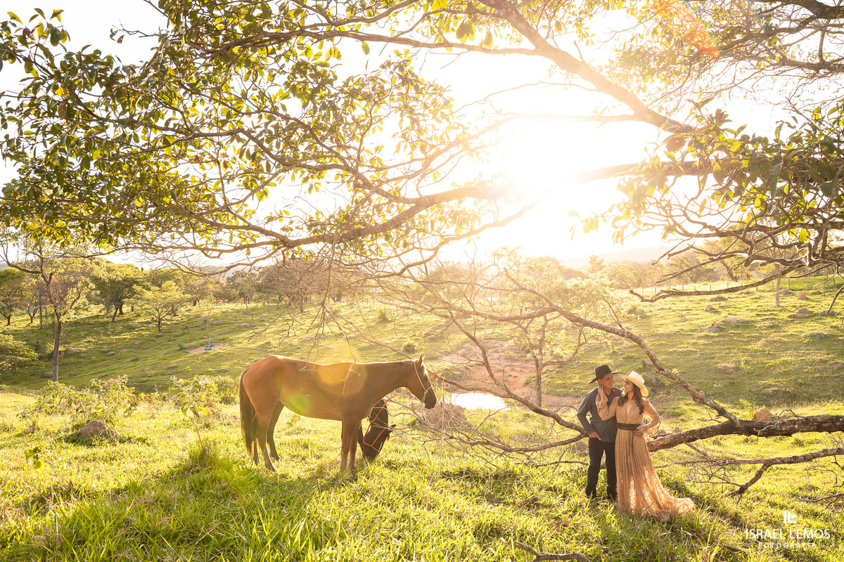 como achar Fotografia na cidade de Perdigao e Araújos 