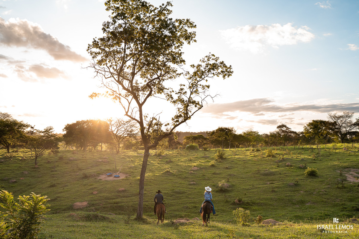 como achar Fotografia na cidade de Perdigao e Araújos 