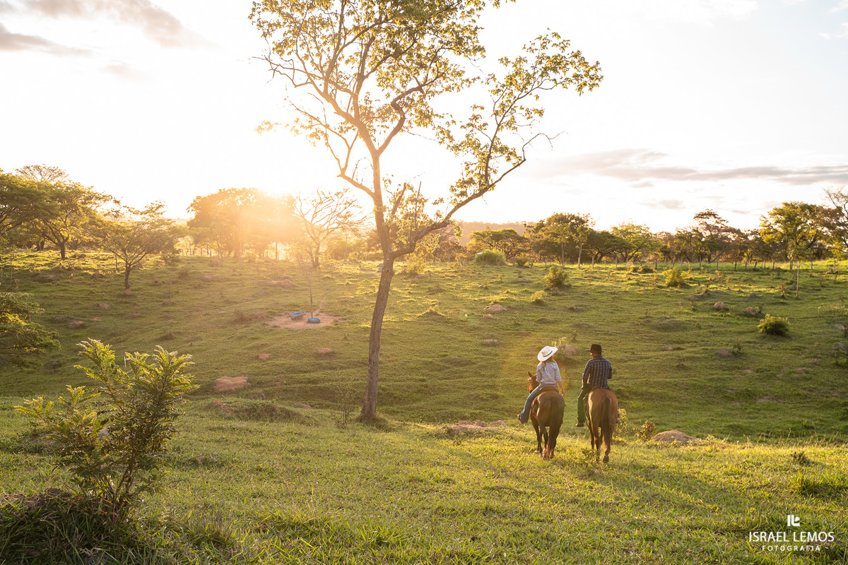 como achar Fotografia na cidade de Perdigao e Araújos 