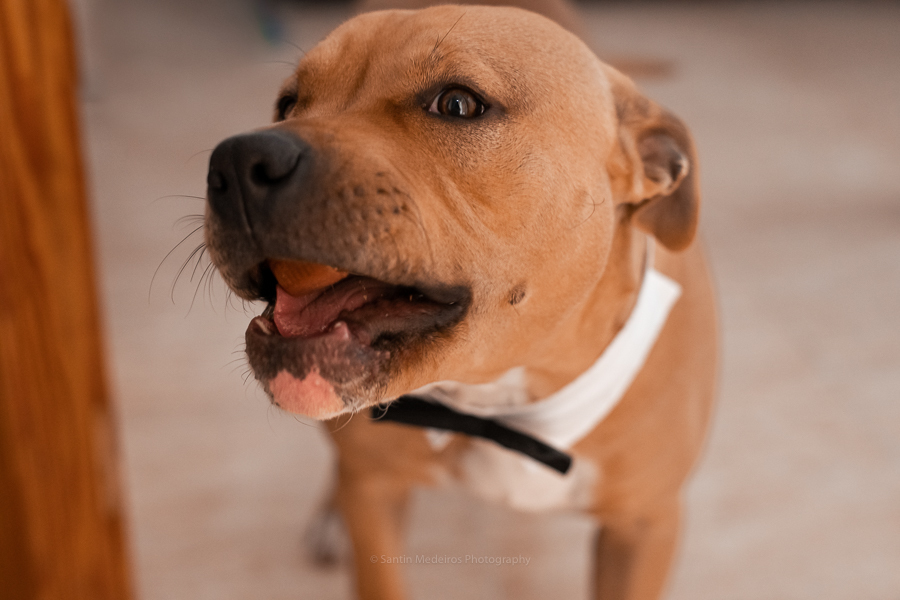 Casa de los novios Cartagena