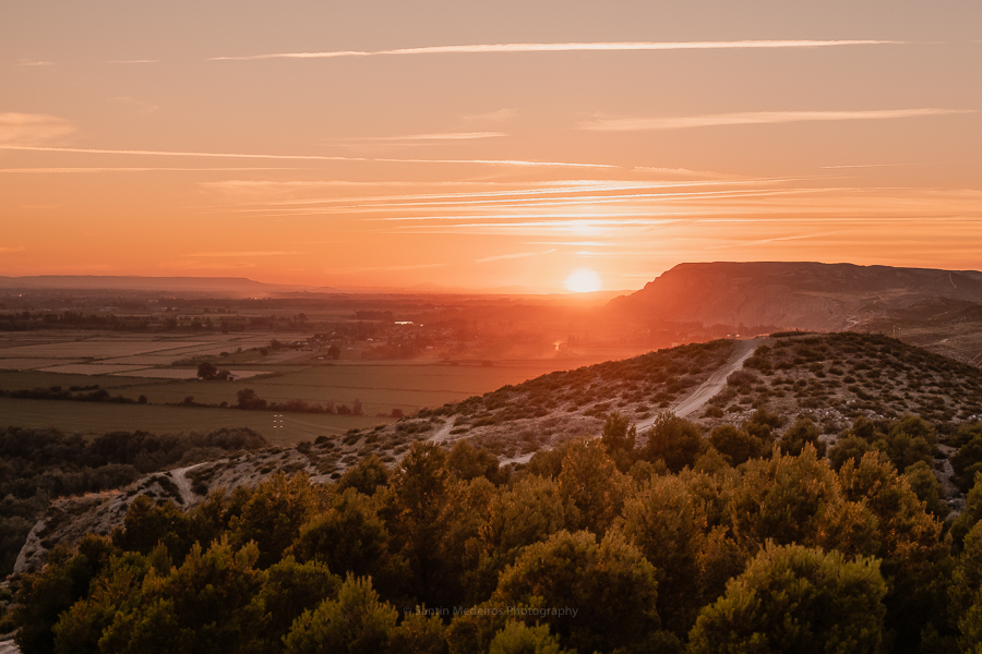 fotografía desde lo alto de la colina con vistas al parque y la ciudad de Zaragoza al fondo