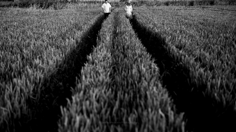 fotografía en blanco y negro: pareja andando por un camino de amapolas