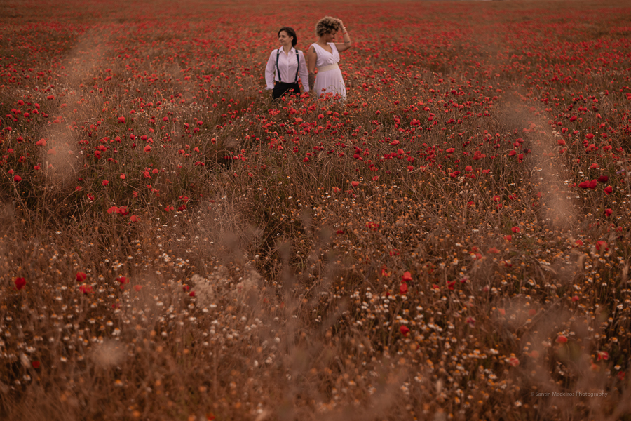 pareja gay en el campo de amapolas