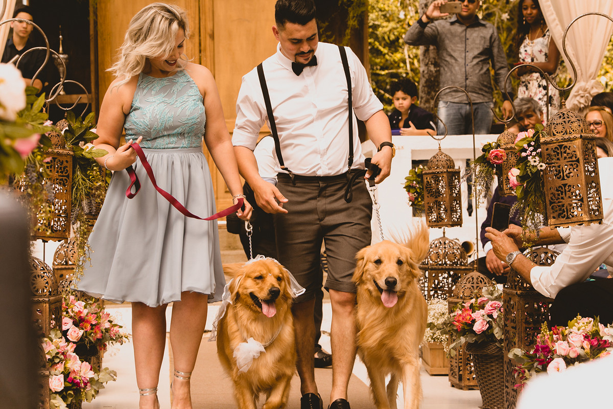 entrada das alianças como os cachorros