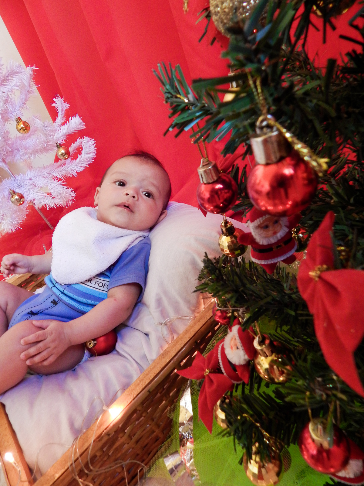 conhecendo as bolinhas da árvore de natal.