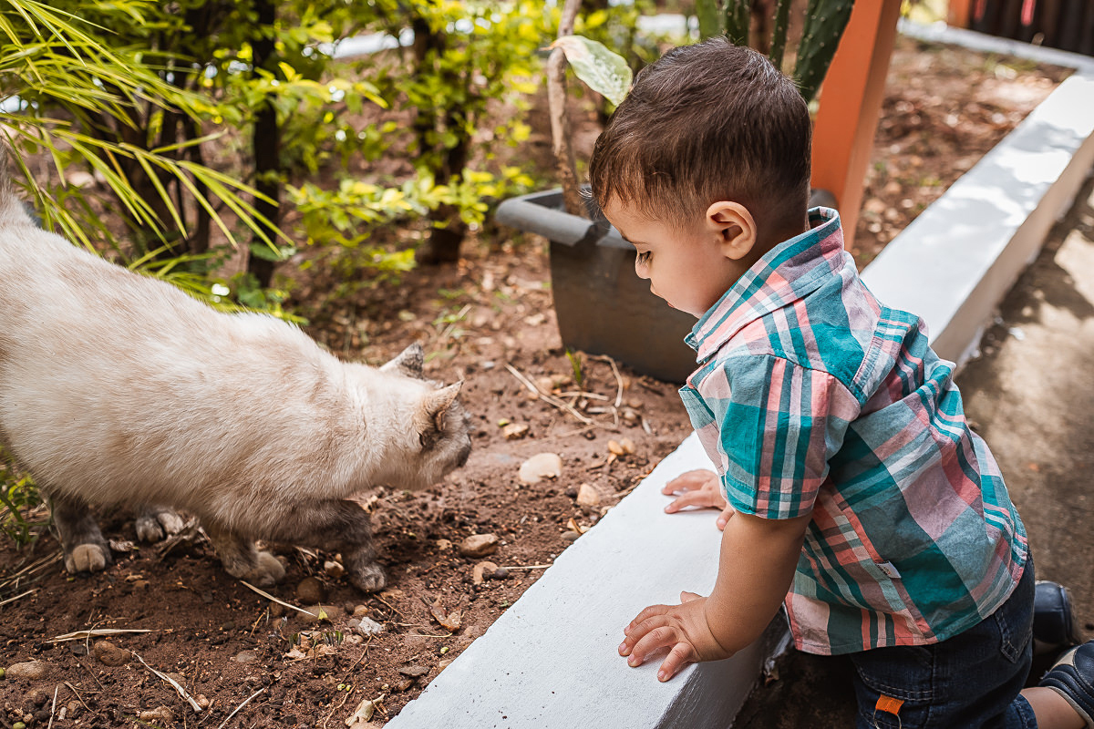aniversário - 01 aninho - matão - decoração - fazenda - entre balões e pipas