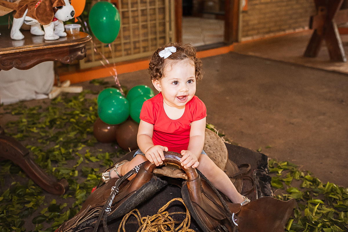 aniversário - 01 aninho - matão - decoração - fazenda - entre balões e pipas